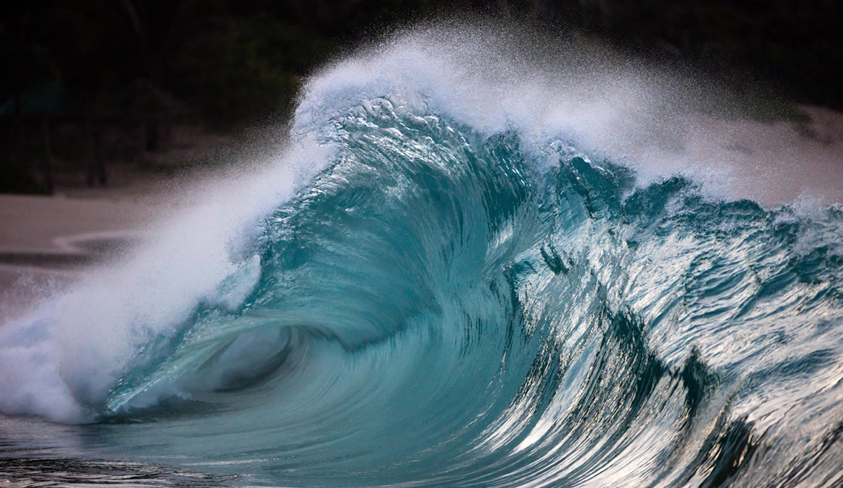 Photo: 
Pierre Carreau Photography