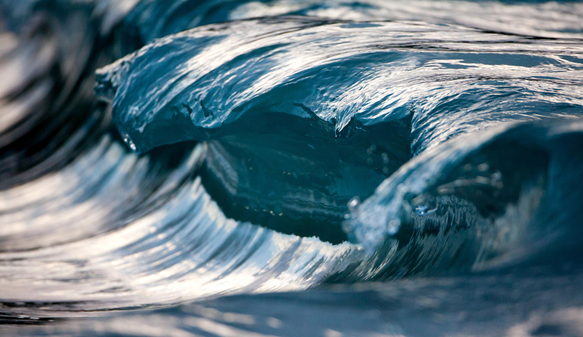 Photo: 
Pierre Carreau Photography