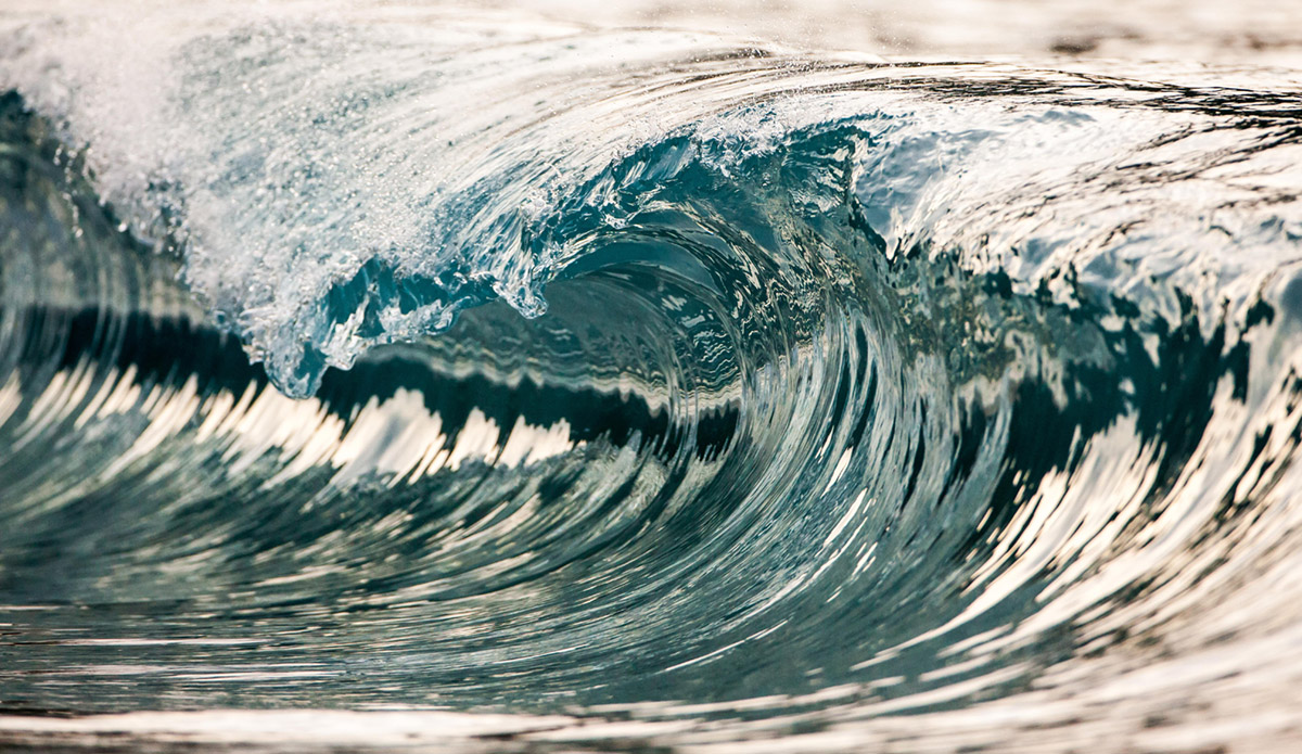 Photo: 
Pierre Carreau Photography