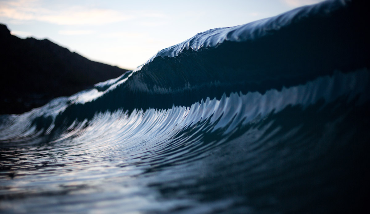 Photo: 
Pierre Carreau Photography