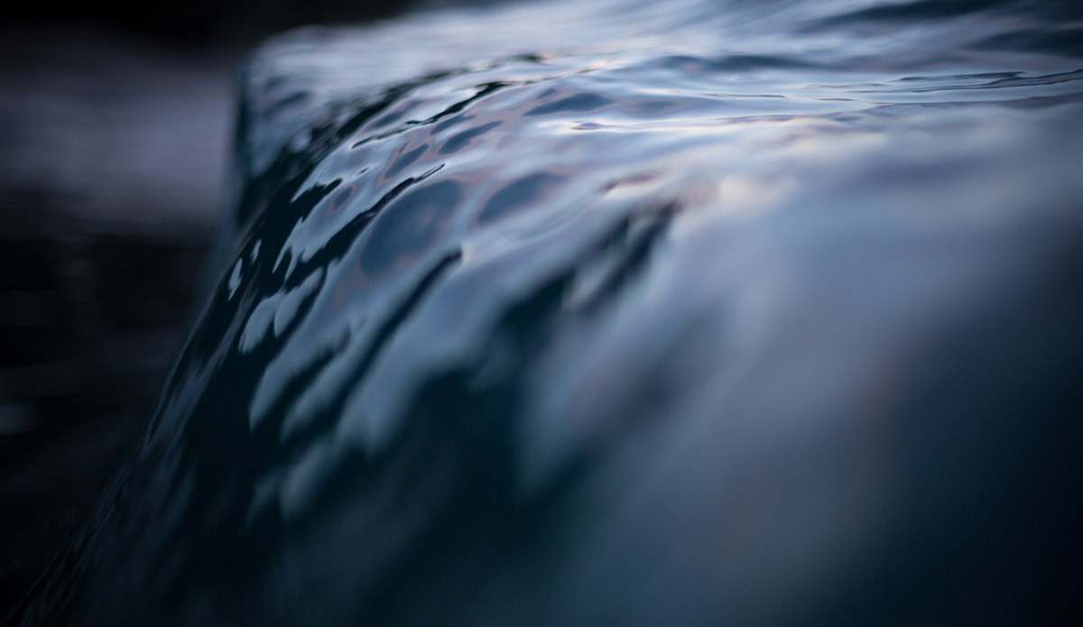 Photo: 
Pierre Carreau Photography