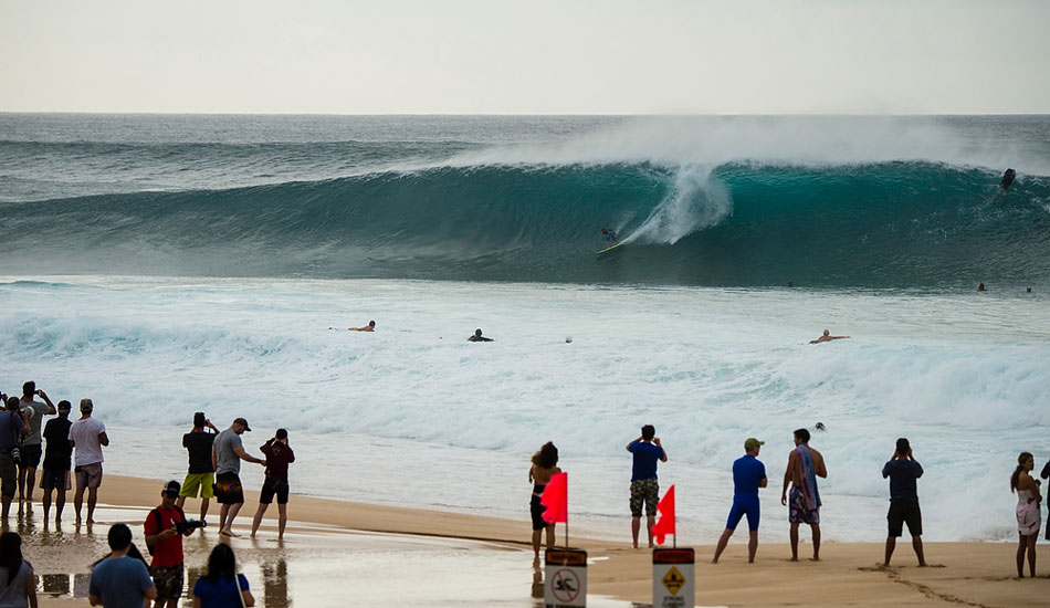 Torrey Meister #1. Photo: <a href=\"https://www.joliphotos.com/\">Peter Joli Wilson</a>