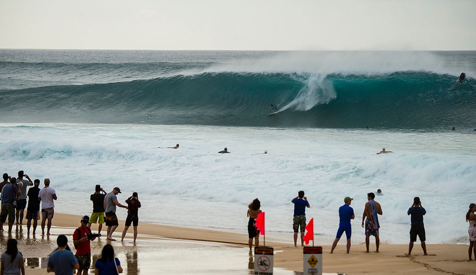 Torrey Meister #2. Photo: <a href=\"https://www.joliphotos.com/\">Peter Joli Wilson</a>