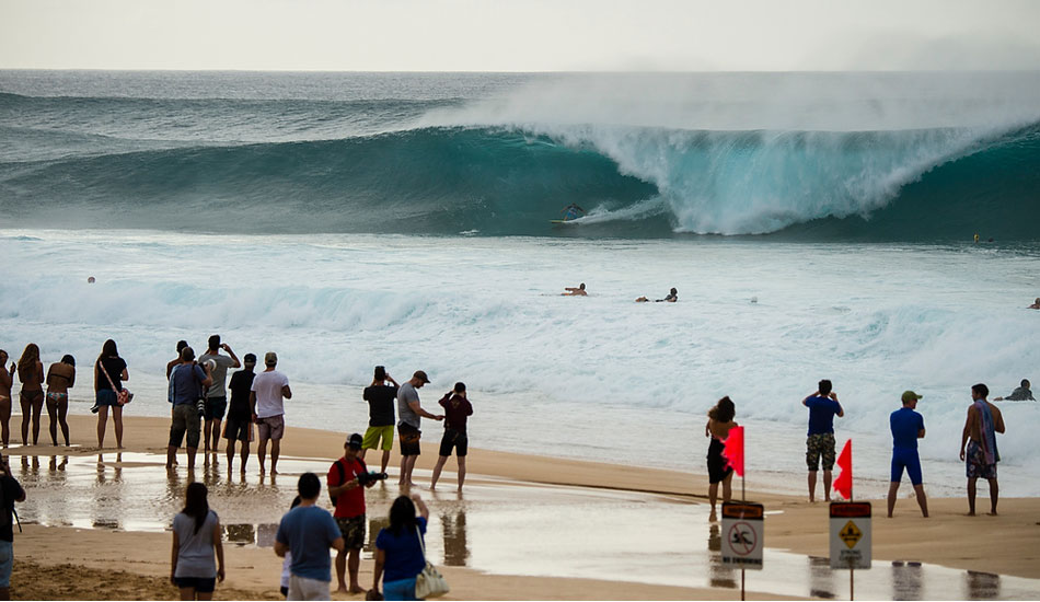 Torrey Meister #3. Photo: <a href=\"https://www.joliphotos.com/\">Peter Joli Wilson</a>