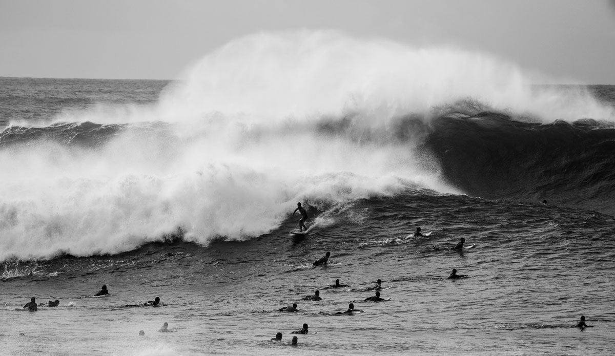 The crowds went from 3 to 300 in a matter of minutes. Photo: <a href=\"https://mattdunbar.com.au/\"> Matt Dunbar</a>