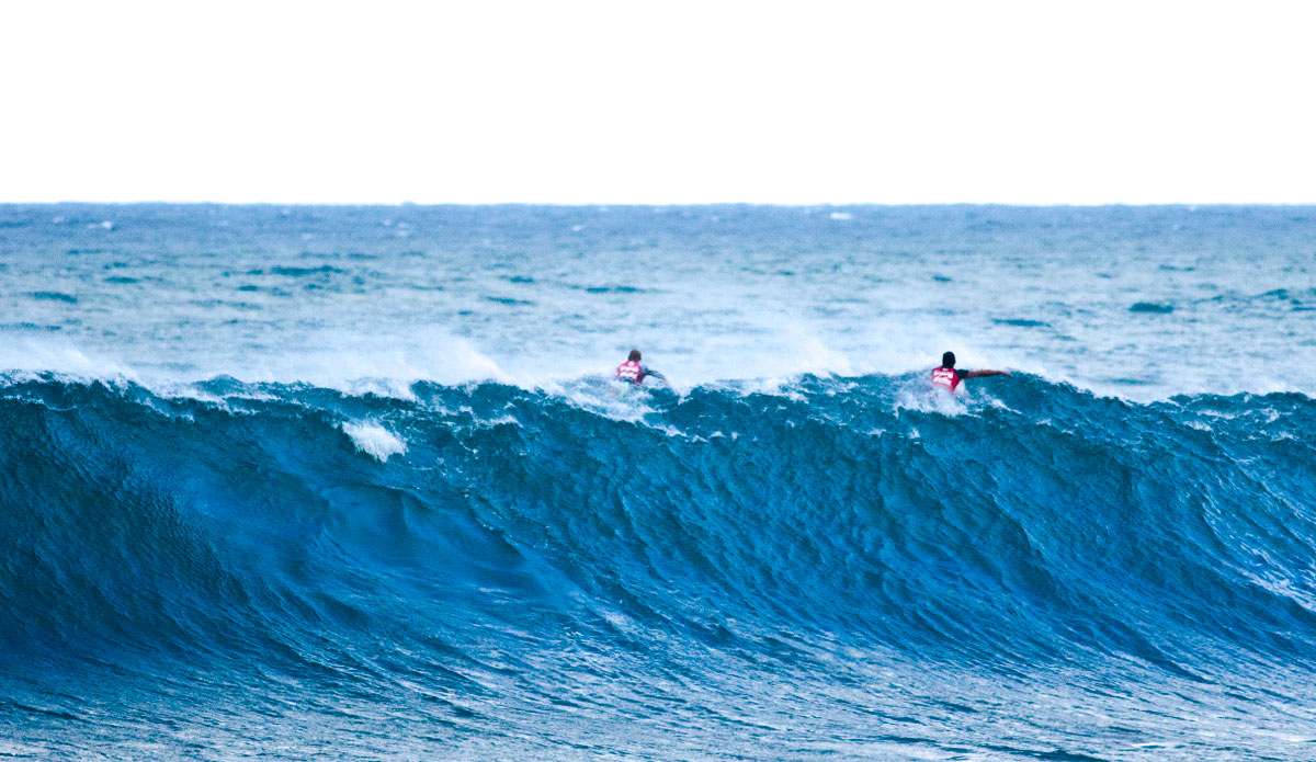 Photo: <a href=\"https://mattdunbar.com.au/\"> Matt Dunbar</a>