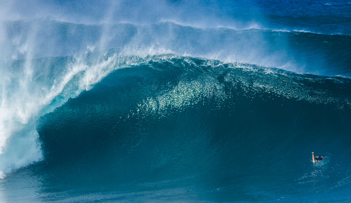 Photo: <a href=\"https://mattdunbar.com.au/\"> Matt Dunbar</a>