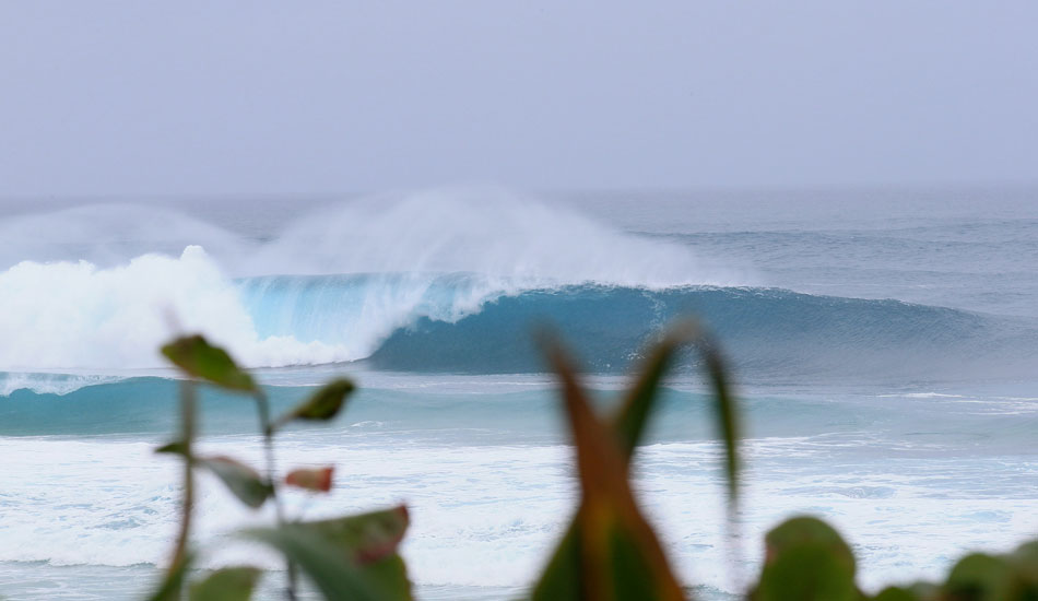 Looking a bit woolly on the morning of Day 2. Photo: Bielmann