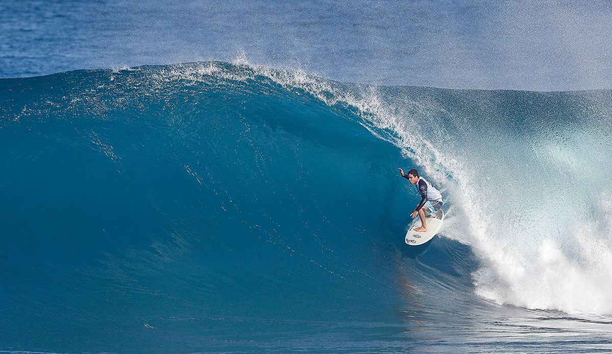 Olamana Eleogram. Photo: WSL/Cestari