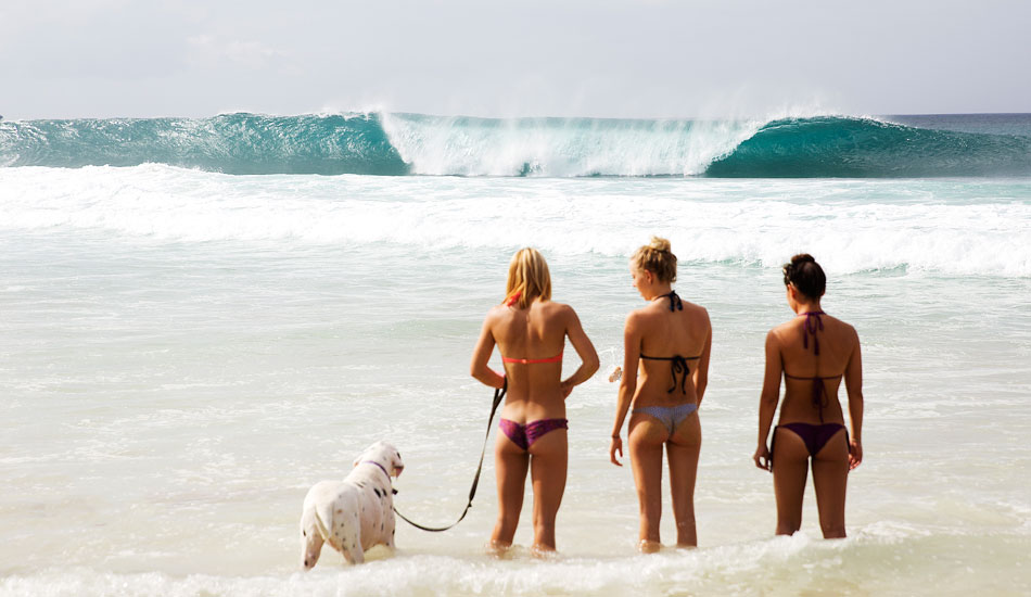 This is Hawaii in December. Photo: <a href=\"https://mattdunbar.com.au\">Matt Dunbar</a>
