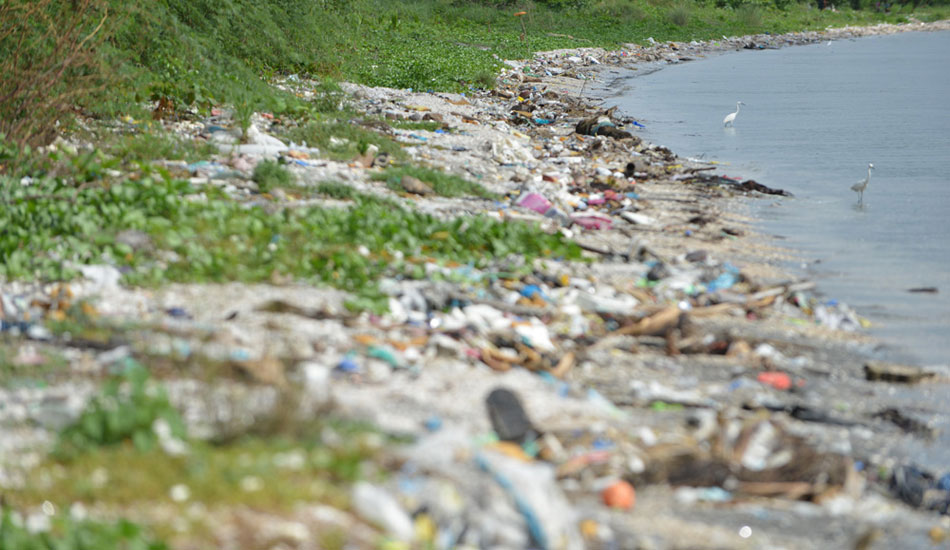 Photo: <a href=\"https://5gyres.org\"> 5 Gyres</a>