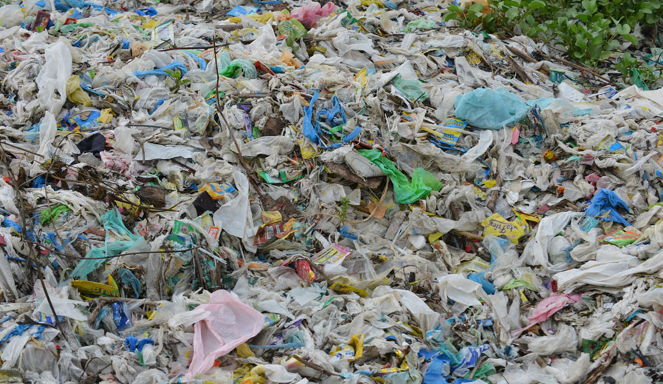 Photo: <a href=\"https://5gyres.org\"> 5 Gyres</a>