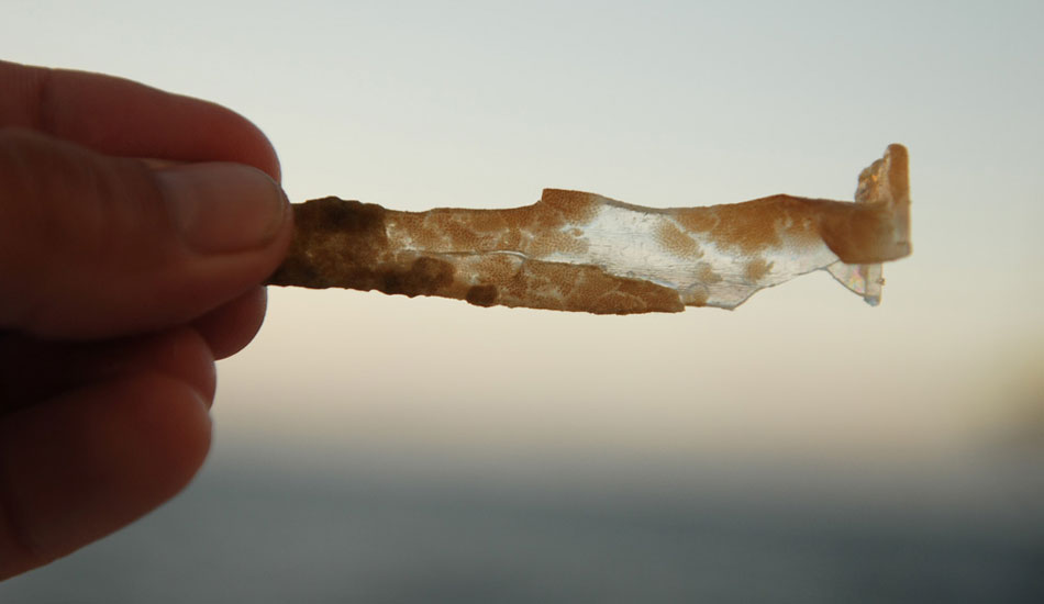 Photo: <a href=\"https://5gyres.org\"> 5 Gyres</a>