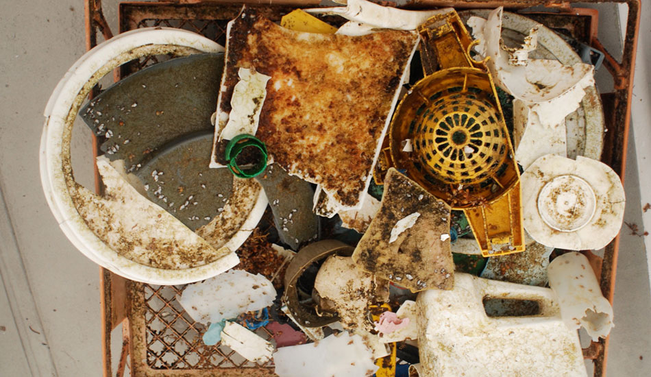 Photo: <a href=\"https://5gyres.org\"> 5 Gyres</a>