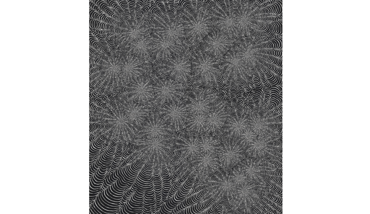 Psilocybin. Photo: Philipp Scholz Rittermann