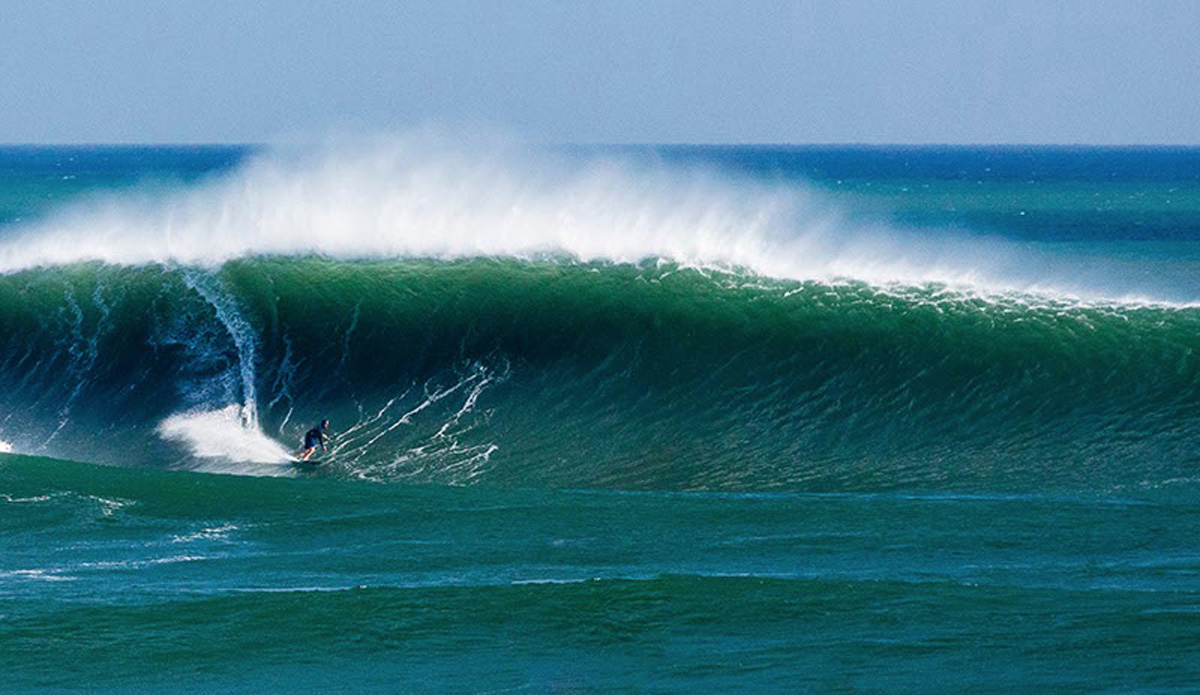 Lane Moss. Photo: <a href=\"https://www.jancyproductions.com\">Russell Whitaker / Jancy Productions</a>