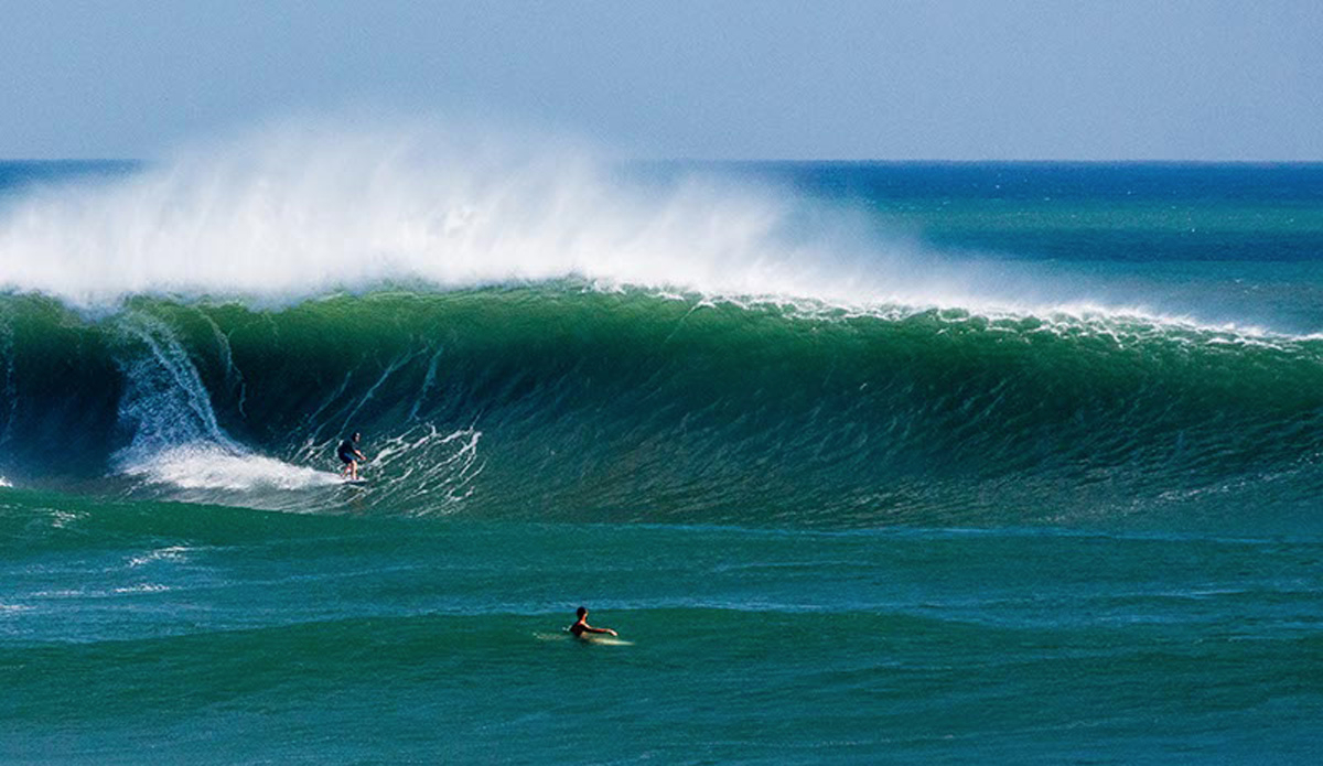 Lane Moss. Photo: <a href=\"https://www.jancyproductions.com\">Russell Whitaker / Jancy Productions</a>