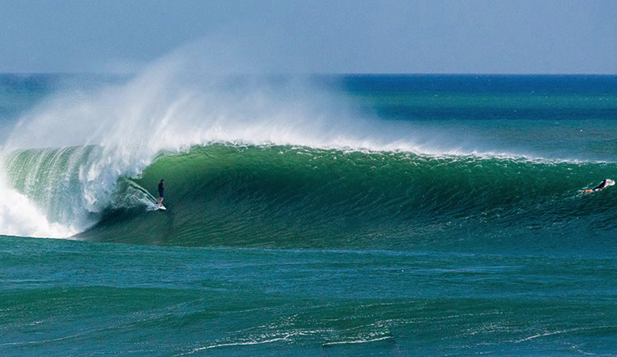 Lane Moss. Photo: <a href=\"https://www.jancyproductions.com\">Russell Whitaker / Jancy Productions</a>