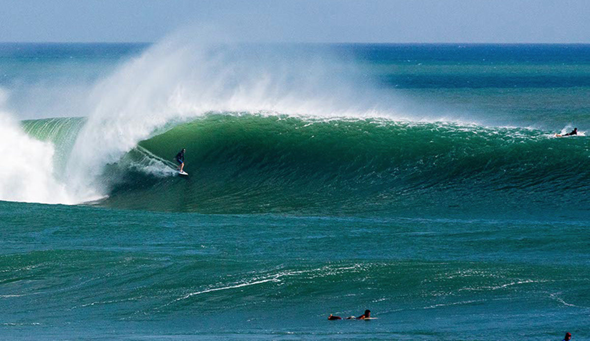 Lane Moss. Photo: <a href=\"https://www.jancyproductions.com\">Russell Whitaker / Jancy Productions</a>