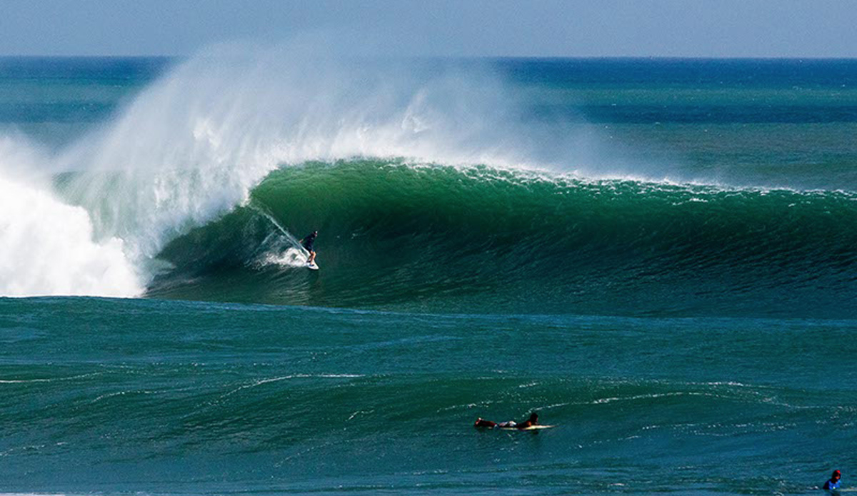 Lane Moss. Photo: <a href=\"https://www.jancyproductions.com\">Russell Whitaker / Jancy Productions</a>