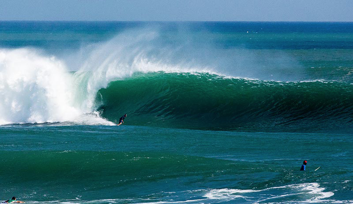 Lane Moss. Photo: <a href=\"https://www.jancyproductions.com\">Russell Whitaker / Jancy Productions</a>