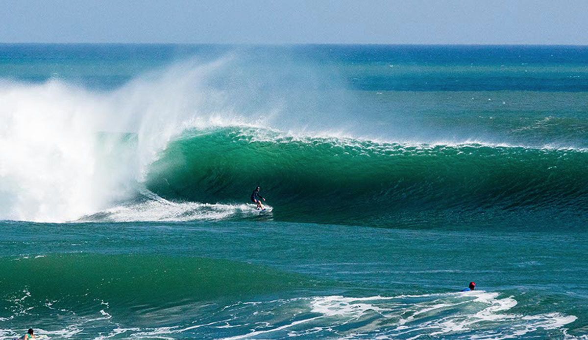 Lane Moss. Photo: <a href=\"https://www.jancyproductions.com\">Russell Whitaker / Jancy Productions</a>