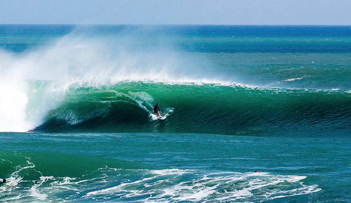 Lane Moss. Photo: <a href=\"https://www.jancyproductions.com\">Russell Whitaker / Jancy Productions</a>