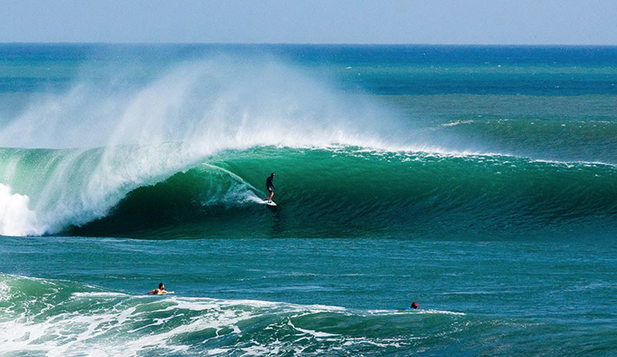 Lane Moss. Photo: <a href=\"https://www.jancyproductions.com\">Russell Whitaker / Jancy Productions</a>