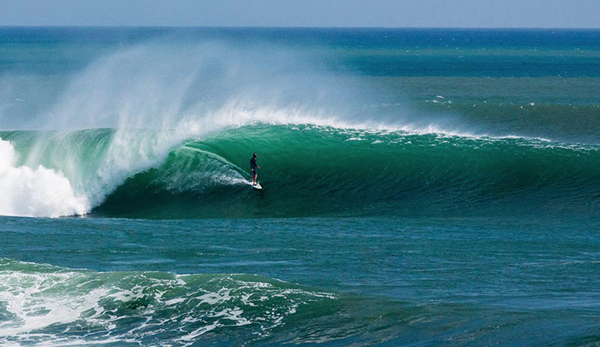 Lane Moss. Photo: <a href=\"https://www.jancyproductions.com\">Russell Whitaker / Jancy Productions</a>