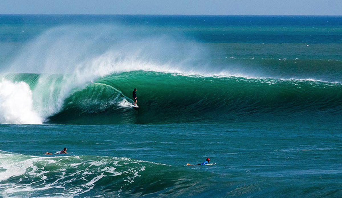 Lane Moss. Photo: <a href=\"https://www.jancyproductions.com\">Russell Whitaker / Jancy Productions</a>