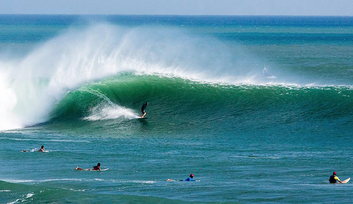 Lane Moss. Photo: <a href=\"https://www.jancyproductions.com\">Russell Whitaker / Jancy Productions</a>