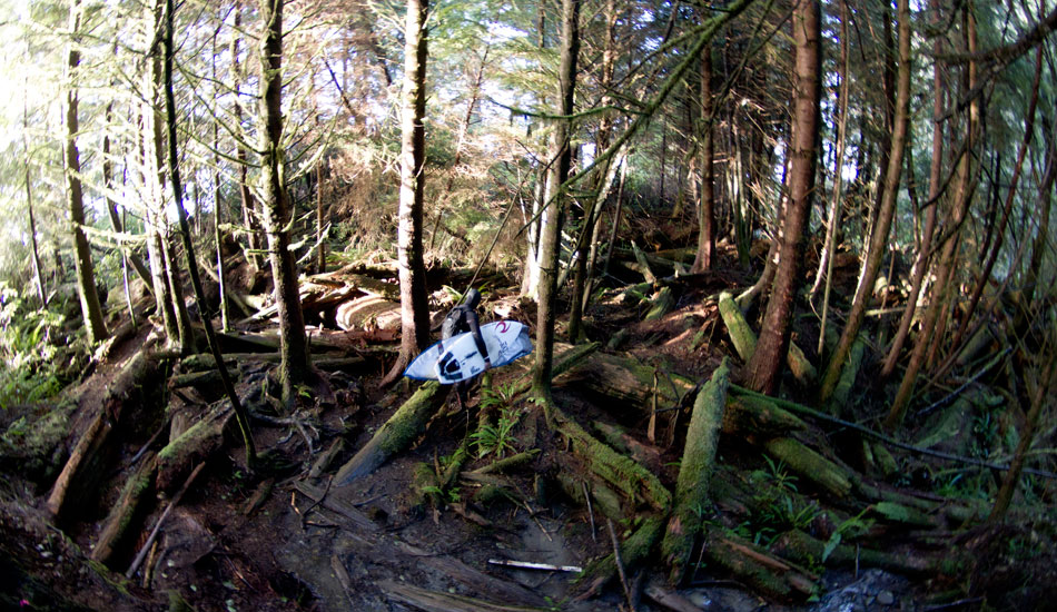 We are lucky in Canada to have a deep connection with nature. Every time we walk to the beach were surrounded by it. Photo: <a href=\"https://www.adamdewolfe.com/Intro.html\" target=_blank>Adam Dewolfe.</a>
