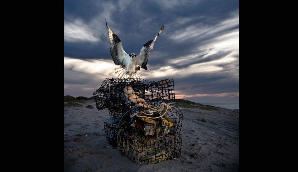 Trapped. This piece looks at the effects we are having on our planet.
 Photo: <a href=\"https://www.daltonportella.com/\" target=_blank>Dalton Portella</a>.