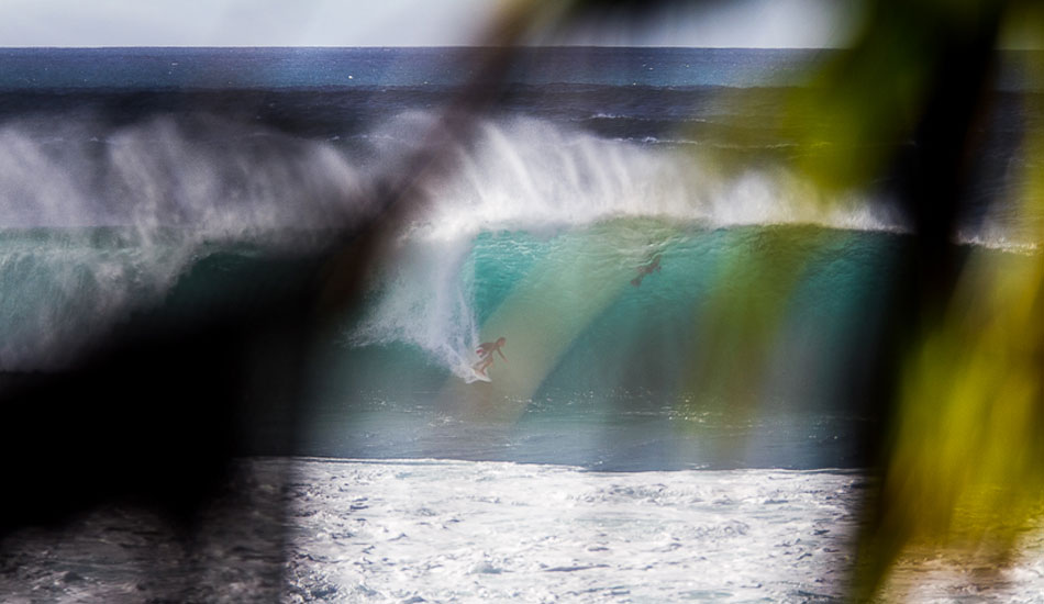 Pipeline through the trees from a tall view. Photo: <a href=\"https://500px.com/DougFalterPhotography\">Doug Falter</a>