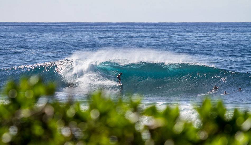 Small day at Pipeline. Photo: <a href=\"https://500px.com/DougFalterPhotography\">Doug Falter</a>