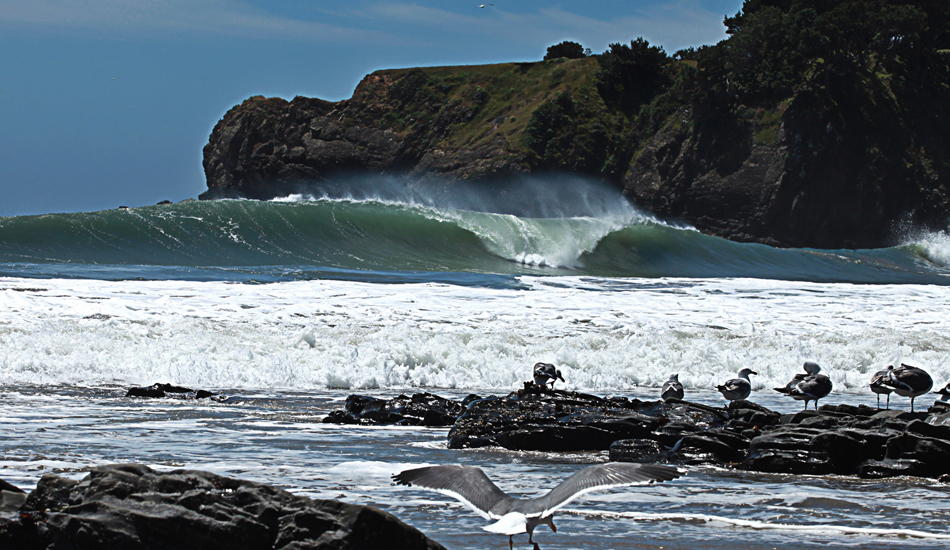 The coast of Sonoma, Sonoma is the most raw coast in California, rocky deep water that is most often windswept and cold, but every dog has its day. I\'ve only scored good waves there a few times, I though this trip was going to be another failed mission, until I pulled into this little cove and found this. Image: <a href=\"https://www.paulferraris.com/\" target=\"_blank\">Ferraris</a>