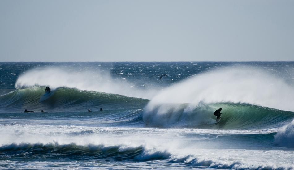 Santa Annas are delicious. Photo: <a href=\"https://www.rickyjlesser.com/\" target=_blank>Ricky Lesser.</a>