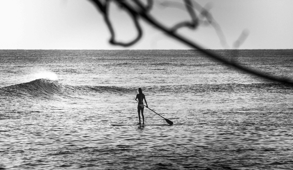 Photo: Rodrigo Ungaro