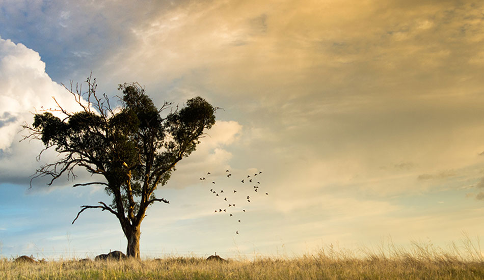 As I study pretty far from the coast in Wagga Wagga, I tend to just capture things around the sunset. This was possibly one of the most calm sunsets, and then luck struck and I timed this shot perfectly. Photo: <a href=\"https://www.twhyphotography.com\">Tyhe Reading</a>