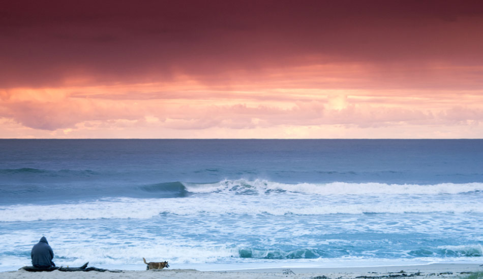The beach at sunset was empty, except for these two. At home, there\'s often just a man and his dog, enjoying what is left of the day. Photo: <a href=\"https://www.twhyphotography.com\">Tyhe Reading</a>