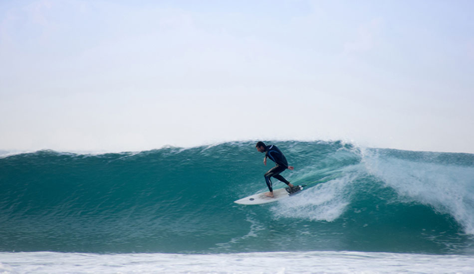One of the fastest guys i\'ve seen at home, just flies through, barely able to capture him. Photo: <a href=\"https://www.twhyphotography.com\">Tyhe Reading</a>