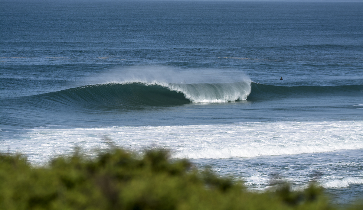 Photo: Francisco Antunes