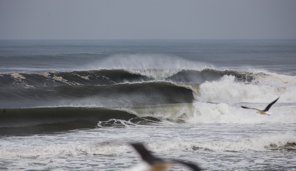 Photo: <a href=\"https://www.jeromechobeaux.fr\">Jerome Chobeaux</a>