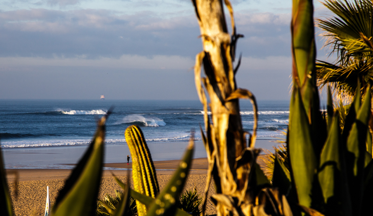 Photo: <a href=\"https://www.jeromechobeaux.fr\">Jerome Chobeaux</a>