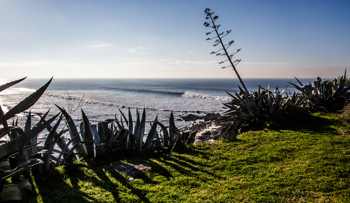 Photo: <a href=\"https://www.jeromechobeaux.fr\">Jerome Chobeaux</a>