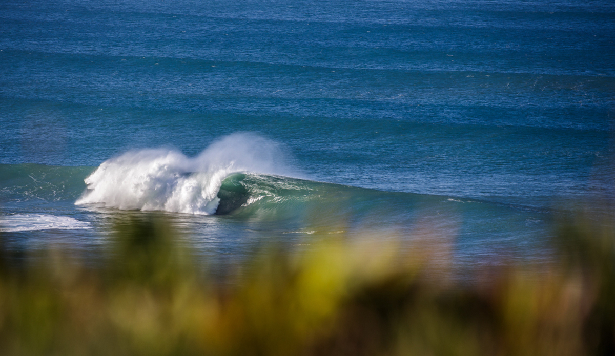 Photo: <a href=\"https://www.jeromechobeaux.fr\">Jerome Chobeaux</a>