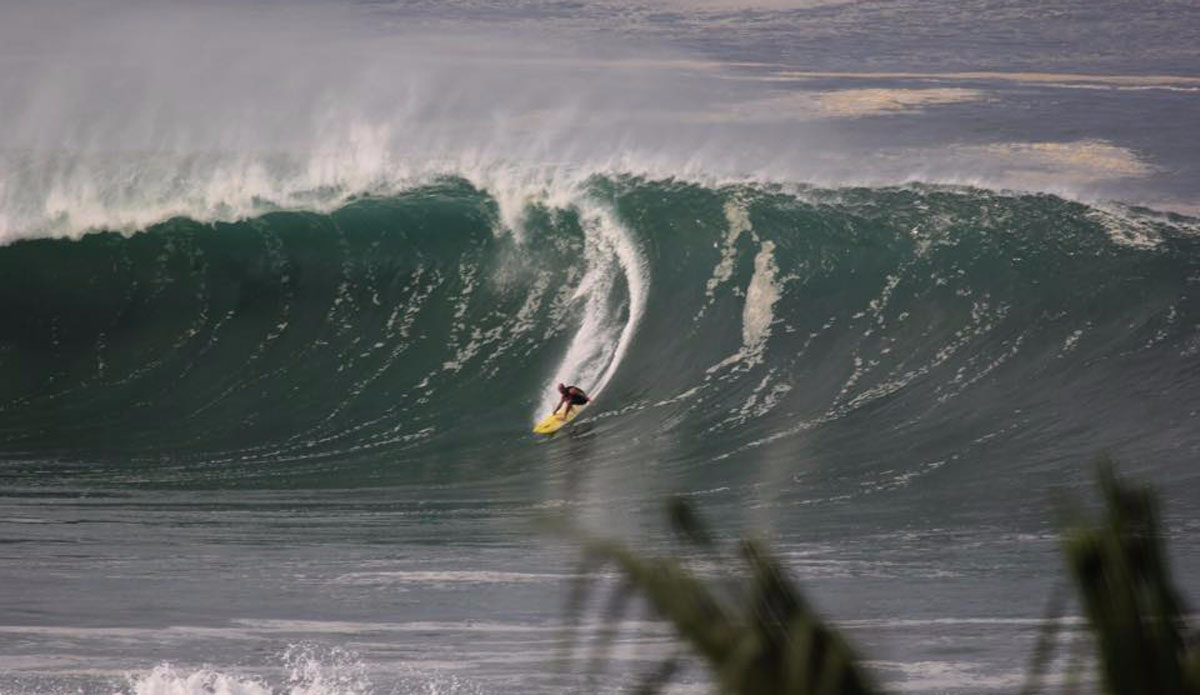 Backside beast. Photo: <a href=\"https://www.facebook.com/nosponsor\" target=\"_blank\">No Sponsor</a>