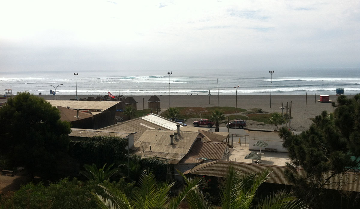 Photo: Nik Strong-Cvetich