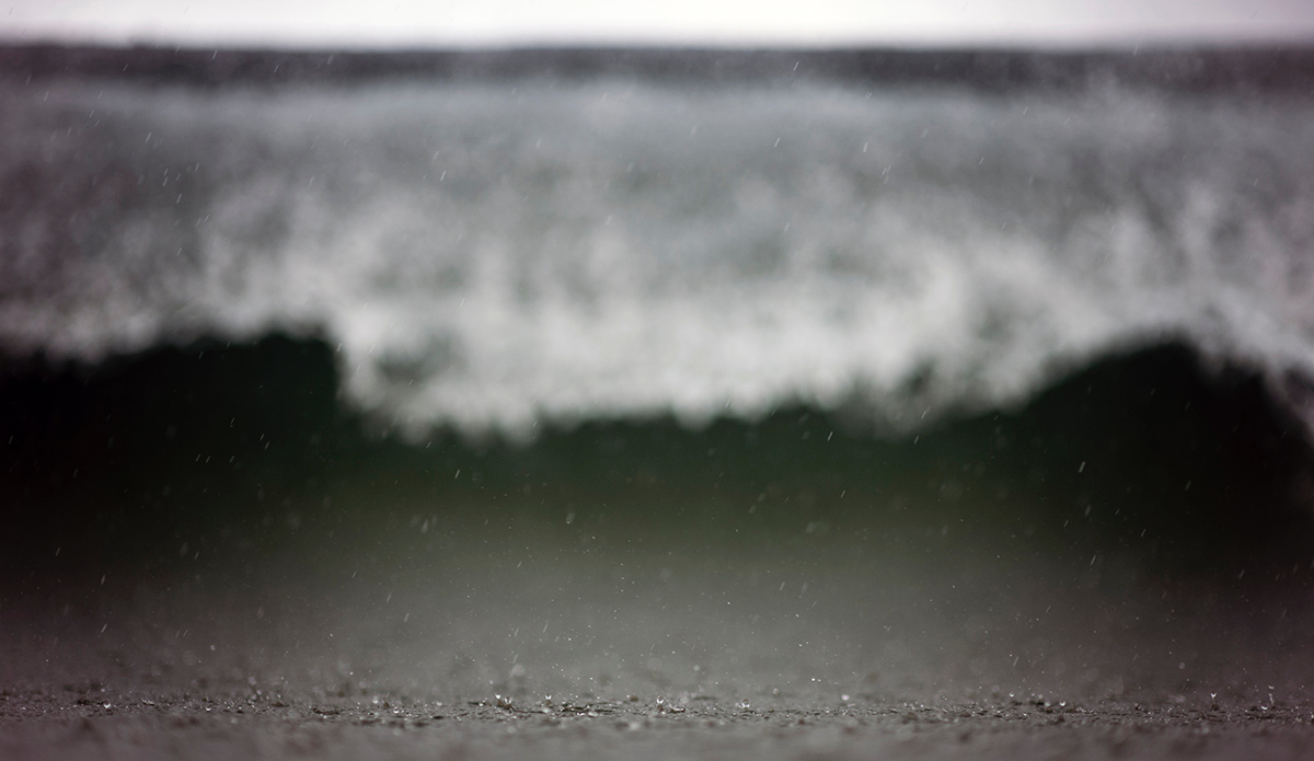 Raindrops. Photo: <a href=\"https://www.raycollinsphoto.com\">RayCollinsPhoto.com</a>