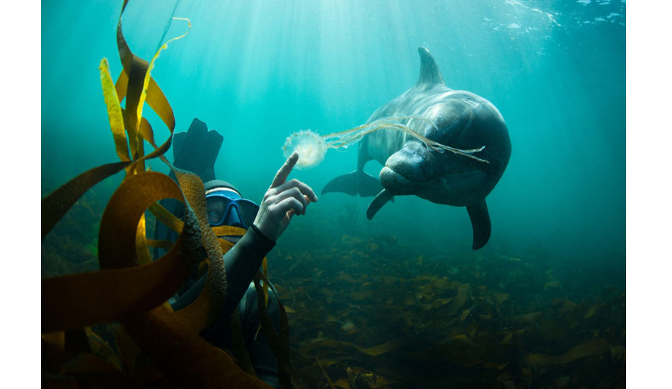 Photo: George Karbus/<a href=\"https://www.redbull.com/us/en/\" target=_blank>Red Bull Illume</a>